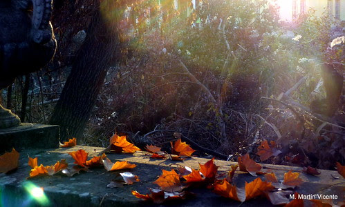 Para el otoño, los colores gloriosos del ocaso