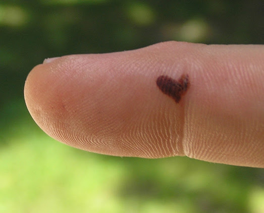 There and then, they'd happily tattoo anyone 