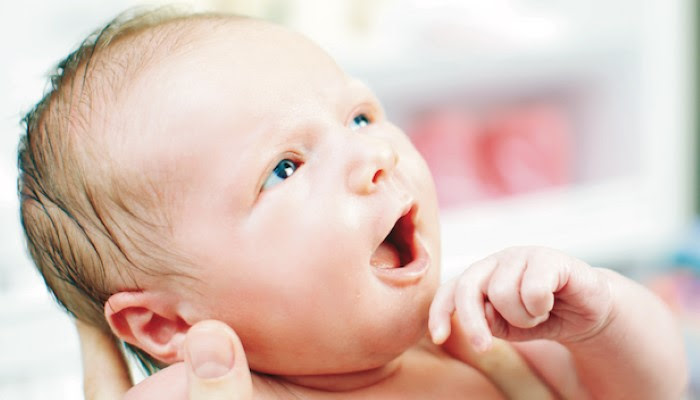 Que Sont Les Perles D Epstein Du Nouveau Ne Bebes Et Mamans