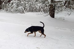 Tut_SNOW_3212