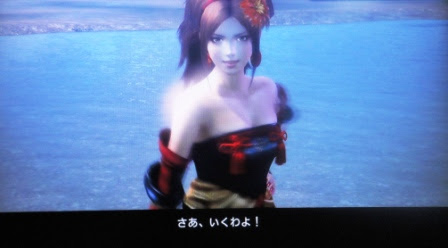 本日の戦国無双3 Z 甲斐姫様 Nk Library プロファイリング