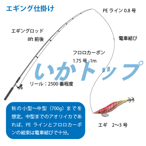 アオリイカ釣りの仕掛けを教えて