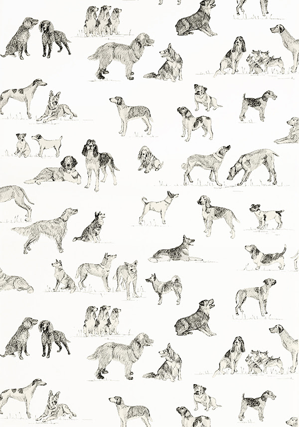 Thibaut壁紙 Menswear Resource 落ち着きのあるペイズリー柄から犬モチーフまで ツカサディザインコマース