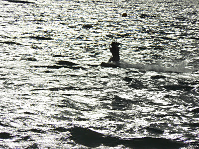 contre jour.jpg