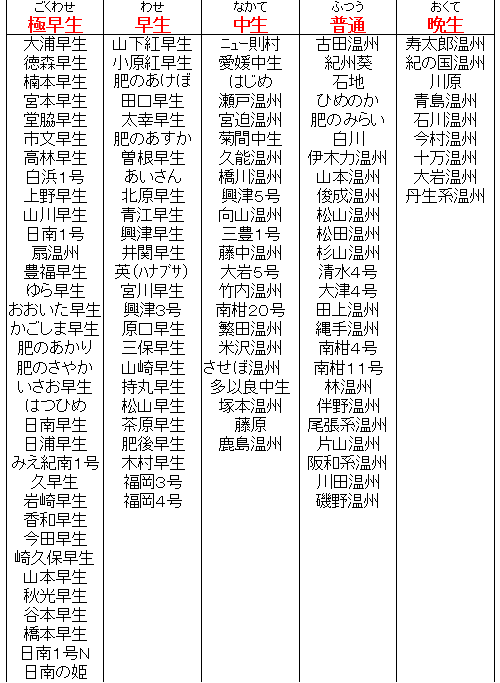 第25話 みかん 柑橘 の種類はどれぐらいあるのか ぞなもし みかん探偵物語blog