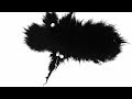 BLACK AND WHITE INK DROPS FILES DOWNLOAD LINK