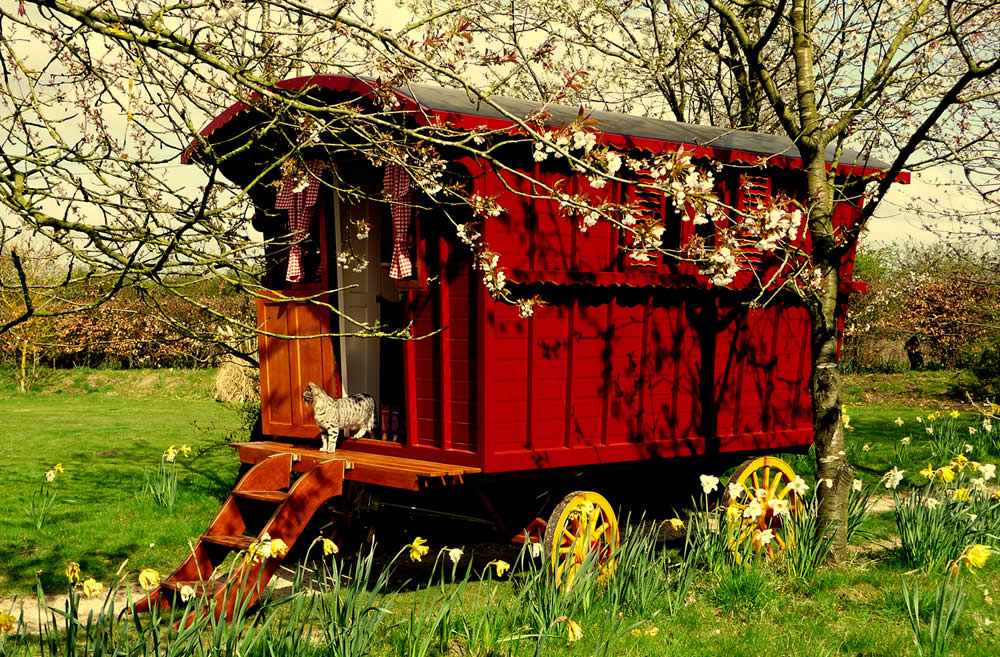 Gypsy Caravan Company Hand Built Second Hand Gypsy Caravans