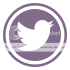  photo BlogButton-Twitter_zps853887b7.png