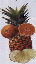 fruit2.jpg (28400 bytes)