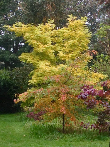 autumn2017.jpg