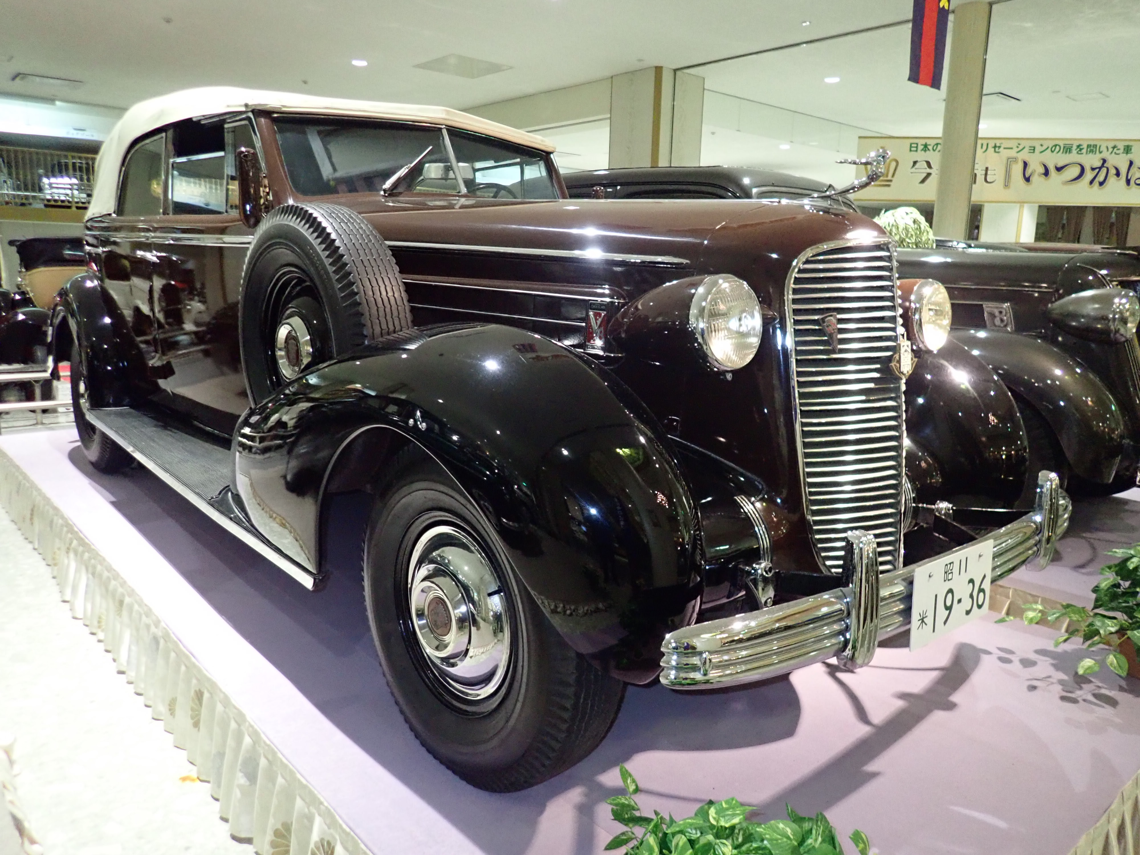 ご存知 アメリカの高級車 キャディラック７０ コンバーチブル セダン 米 1930 年型 日本自動車博物館