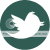 photo 50x50-twitter-button_zps4d9a0068.png