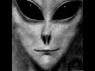 Resultado de imagen para extraterrestres grises