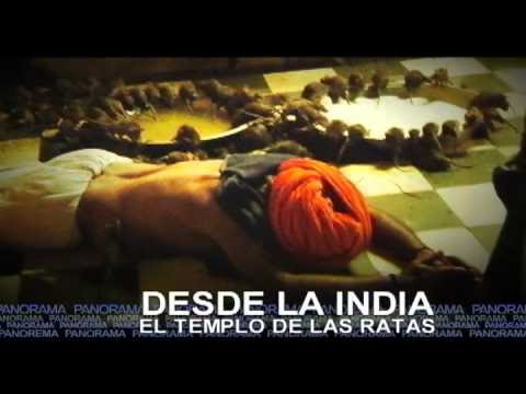PANORAMA: PROMOCIÓN DEL DOMINGO 17 DE JUNIO