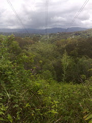 Clear Mountain