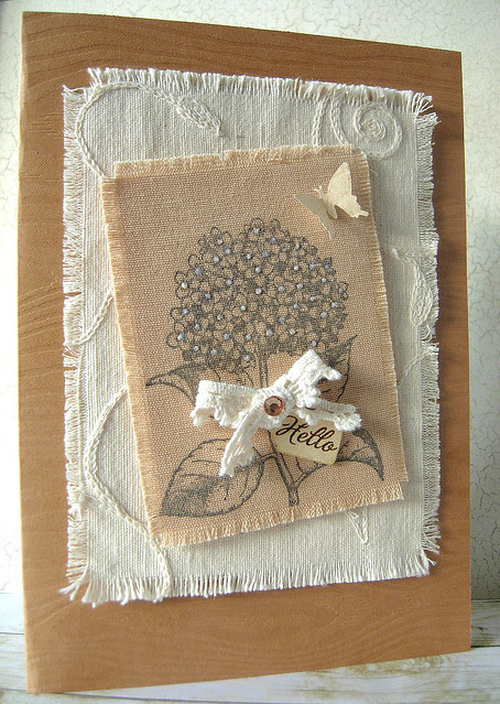 Coffee and Cream Hydrangea