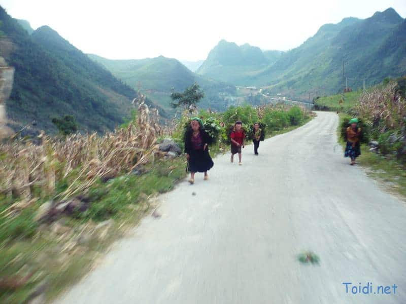 tu van du lich ha giang Kinh nghiệm du lịch Hà Giang