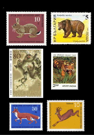 英語のなぞなぞヒント 答え