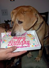 Sophie_5yrs_12611e