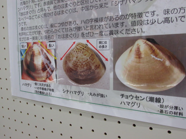 その手は桑名の焼きハマグリ定食レポｗ よこ はまの旅日記ｗ