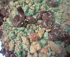 It's really called "cat box cake!"