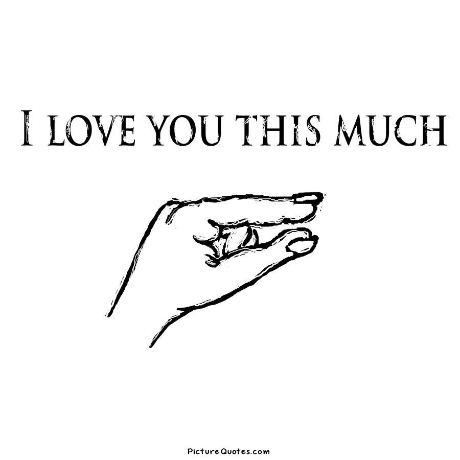 I Love You This Much Picture Quotes