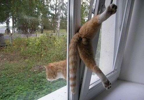 Foto menyenangkan hari:)