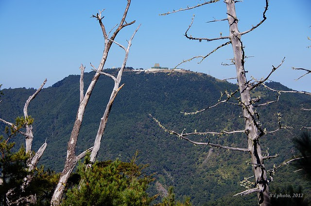 樂山基地