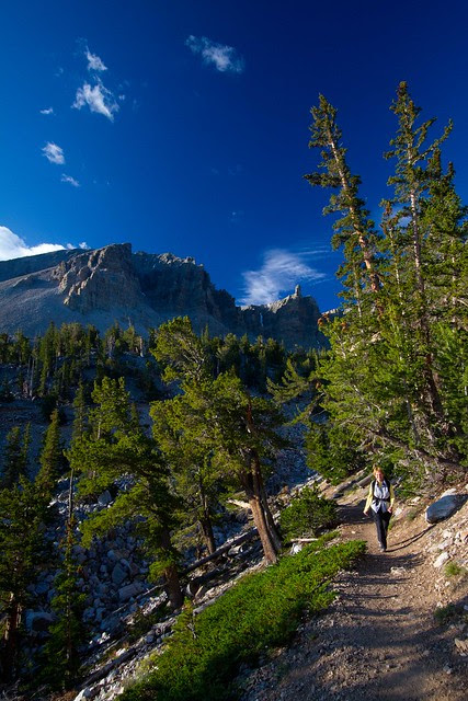 Great Basin National Park-6.JPG