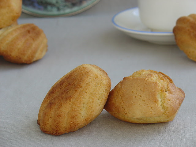 Madeleines
