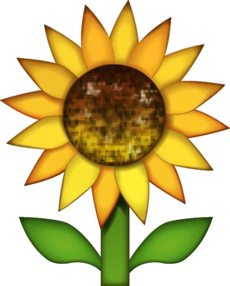 sunflower emoji image  png emoji island