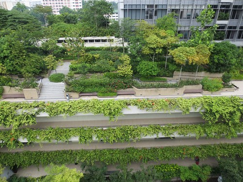 綠屋頂