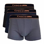 22+ CD Boxer Crocodile, Paling Trend!