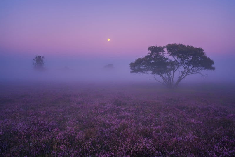 Dutch Africa