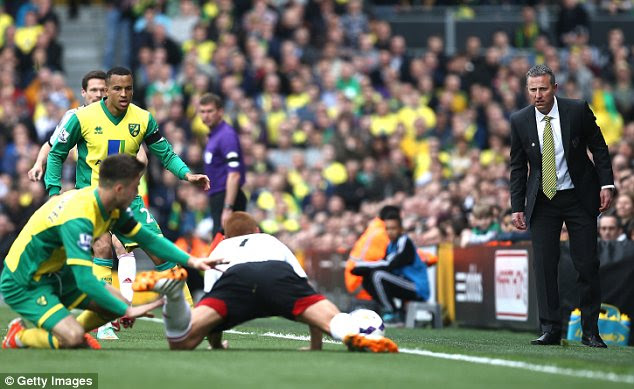 Focused: Norwich caretaker manager Neil Adams keeps an eye on the action