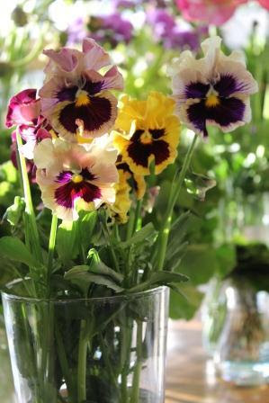 Sous Le Gui I Love Pansy