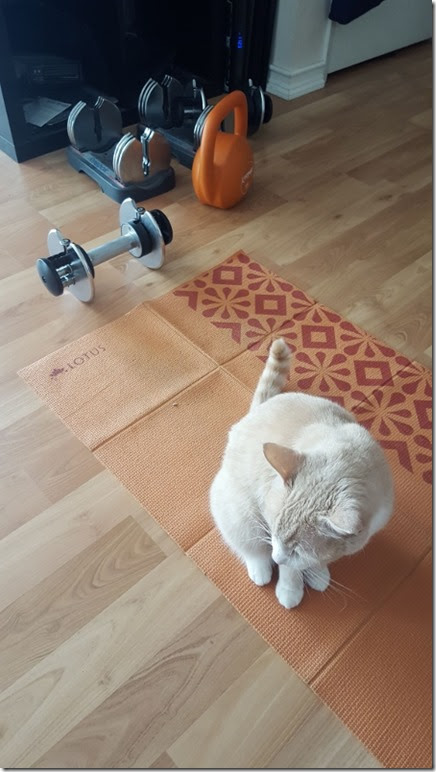 at home workout blog (450x800)