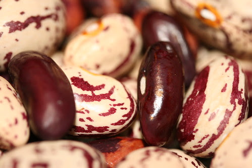 10 shelled beans