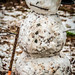 snow man