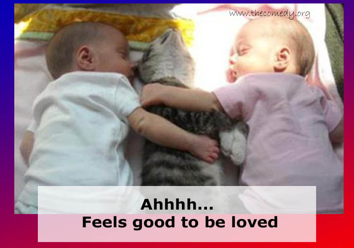 funny animals with captions. funny animals with captions pictures. funny animals with captions.