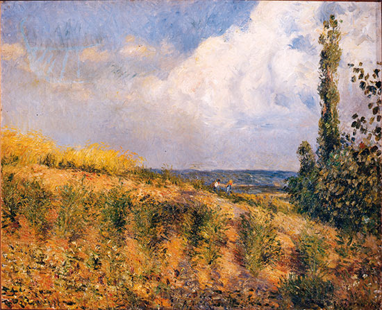 Lettera per taglio siepe