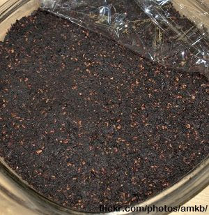 pemmican