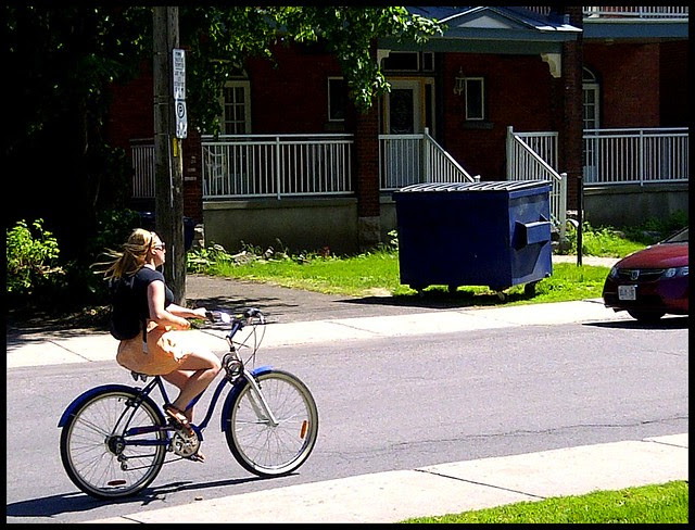 blue cruiser