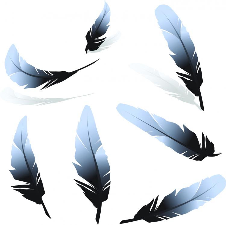 Download Feather 01 vector Free Vector / 4Vector