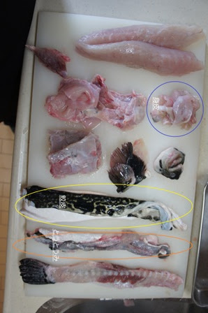 河豚がぶ 九州の郷土料理と簡単まかないレシピ