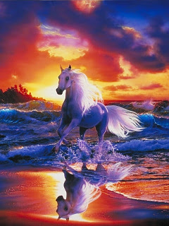 馬 フリー スピリッツ の待ち受け画像 壁紙 動物 パラダイス