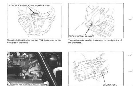 Read download 2001 2003 honda rubicon 500 repair manual trx500fa iBooks PDF