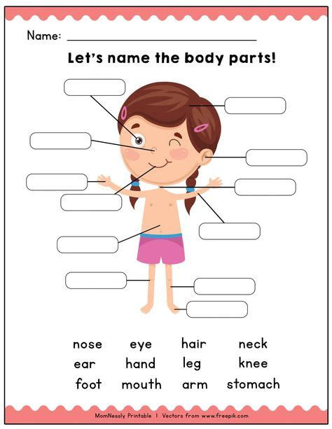  10 body preschool ideas body preschool learning worksheets learning