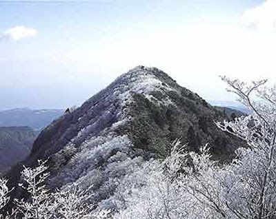 九州地方の花の百名山 登山 トレッキングコース 山頂標高ランキング 9件