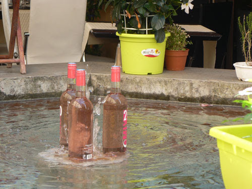 rosé au frais.jpg